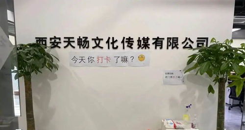 政策服務雙管齊下，數字文創賦能未來 曲江369園區助力企業紓困發展