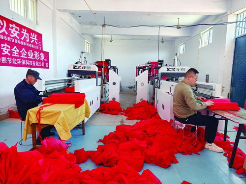 村里有了加工廠 增收有了新門路