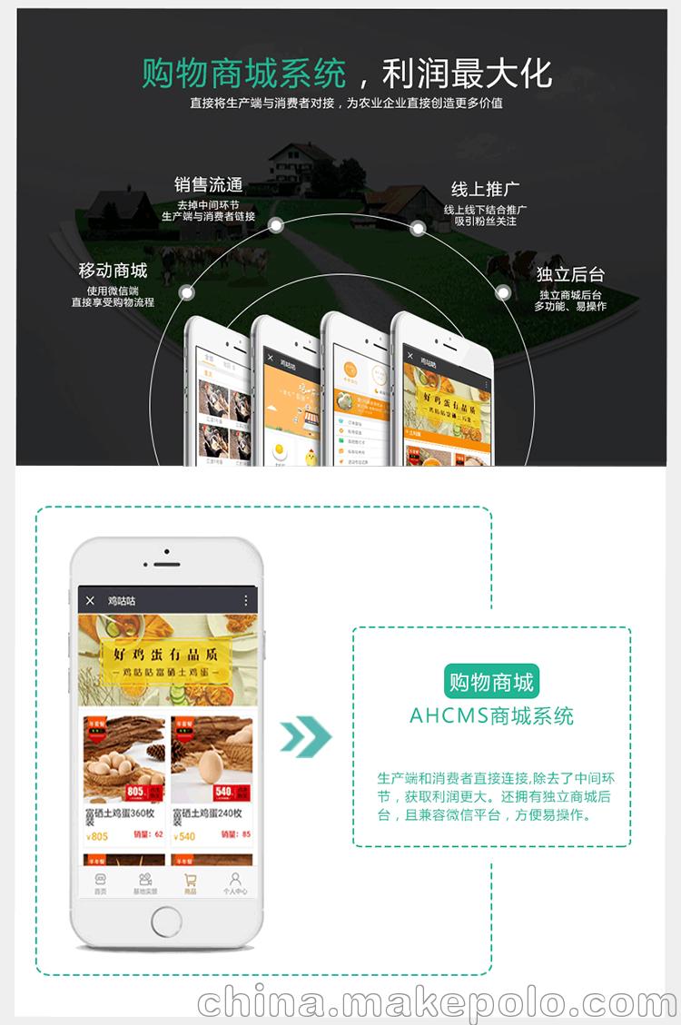 眾牧寶、智慧農業系統源碼、互聯網養殖、養殖眾籌、定制開發